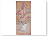 Still Life Coleus Plant