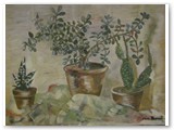 Still Life Plants