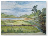 Welsh River Scene